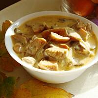 Sosik ze świeżych rydzy