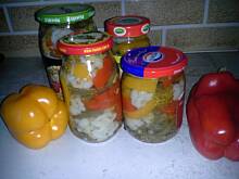 Fot. danusia19671, Sałatka wielowarzywna