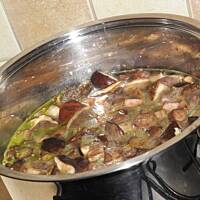 Zupa ze świeżych grzybów.