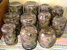 Fot. Busiaaa, Marynowane opieńki