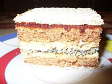 Fot. domi87, Cynamonowiec