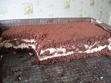 Fot. Ewelinka_inka, Pijana kukułka