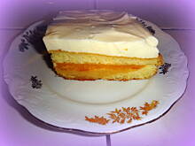 Fot. oczko, Biszkopt z jabłkami i galaretką