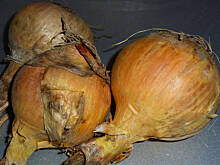 Fot. Mama - Różyczki, Przepowiednie.