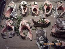 Fot. stokrotka390, Pstrag lososiowy z piekarnika