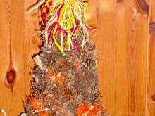 Fot. Zojka7, Szyszkowe ozdoby