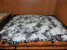 Fot. volupteusement, miodownik najlepszy