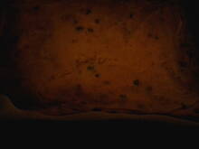 Fot. Orange, Sernik Global