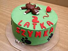 Fot. kromselka, Tort kokosowy