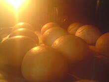 Fot. MamaStasia, Bułki orkiszowe na jogurcie