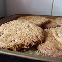 Kruche ciastka z kawałkami czekolady