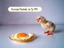 Fot. Beata28, Jak oddzielic zoltko?/Super pomysl!