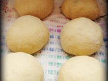 Fot. kocurek28, Pączusie super puszyste