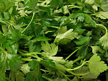 Fot. Wkn, Woda pietruszkowa usunie zmarszczki, rozjaśni skórę