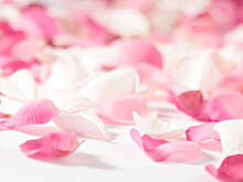 Fot. Wkn, Woda różana odżywi Twoją skórę i nada włosom blask