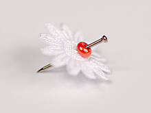 Fot. Wkn, Jak zrobić jajko stokrotkę w pierzastym gniazdku?