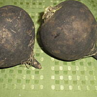 Coleslaw z czarna rzepa