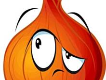 Fot. Wróbelek, Gulasz z piersi kurczaka z pieczarkami