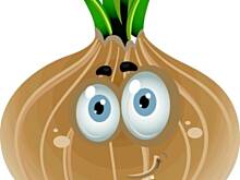 Fot. Wróbelek, Karp faszerowany pieczony