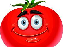 Fot. Wróbelek, pomidorowa z indykiem po 7 m-cu