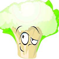 Surówka z kalafiora wiosenna