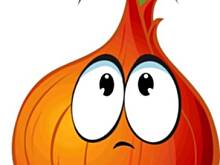 Fot. Wróbelek, Wariacje z sosem pieczarkowym