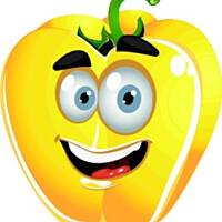 szaszłyki z piersi z kurczaka i warzyw