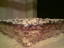 Fot. hajduk, Stefanka na kruchym cieście