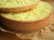 Fot. izaa_a, biszkopt rzucany....