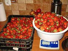 Fot. Weron!ka, przetwory i nie tylko z TRUSKAWEK