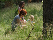 Fot. Wkn, Dlaczego w lesie nie wolno: siadać na pniakach, łapać żmij i wyjadać wszystkich owoców?