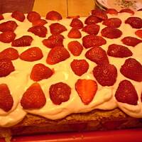 Biszkopt z czekoladową bitą śmietaną i owocami