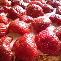 Biszkopt z czekoladową bitą śmietaną i owocami