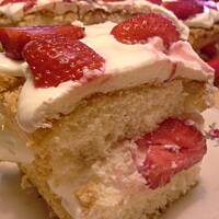 Biszkopt z czekoladową bitą śmietaną i owocami