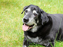 Fot. Wkn, Najwspanialsza galeria najwspanialszych zwierząt - część druga