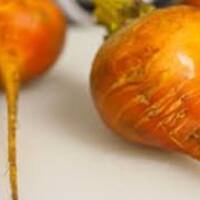 Zupa-krem ze złotych buraczków