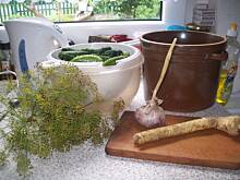 Fot. Agnieszka i Slawek, Ogórki małosolne