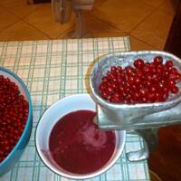 Galaretka z czerwonych porzeczek