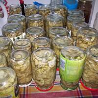 Sałatka z ogórków na zimę :)