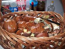 Fot. Agnieszka i Slawek, Zupa grzybowa