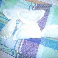 Pierogi z grzybami leśnymi