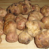 Zupa minestrone na bogato