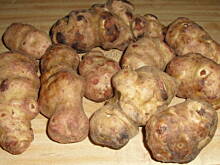 Fot. kamila258, Zupa minestrone na bogato