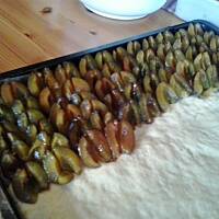 Ciasto ze sliwkami-pflaumenkuchen