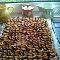 Ciasto ze sliwkami-pflaumenkuchen