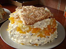 Fot. argennia, Kopa z PUS'u