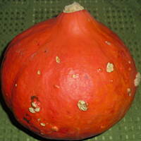 Zupa z dyni z chorizo