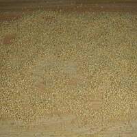 Placuszki z amarantu