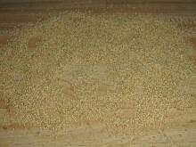 Fot. kamila258, Placuszki z amarantu