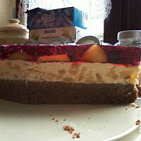 Masa owocowa uniwersalna